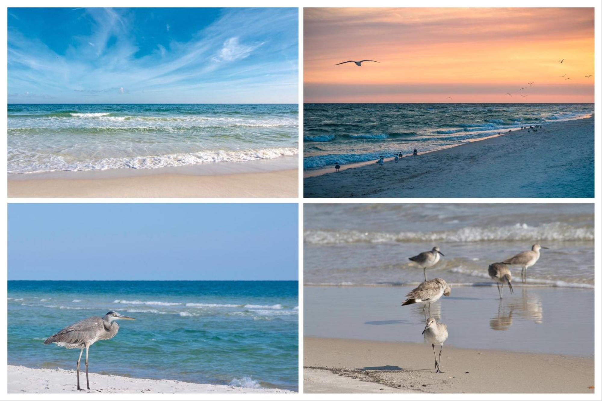 Island Winds East Unit 401 Villa Gulf Shores Camera foto
